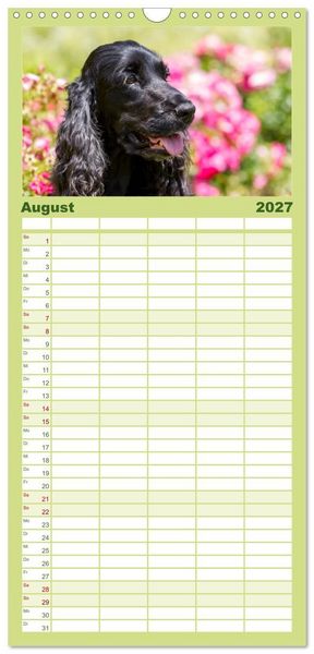 Produktbild: Familienplaner 2027 - English Cocker Spaniel - Fr&ouml;hliche Gesellen mit 5 Spalten (Wandkalender, 21 x 45 cm) CALVENDO
