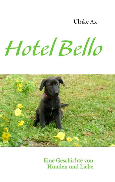 Produktbild: Hotel Bello