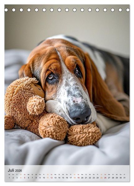 Produktbild: Basset Hound - freundlich und anh&auml;nglich (Tischkalender 2026 DIN A5 hoch), CALVENDO Monatskalender