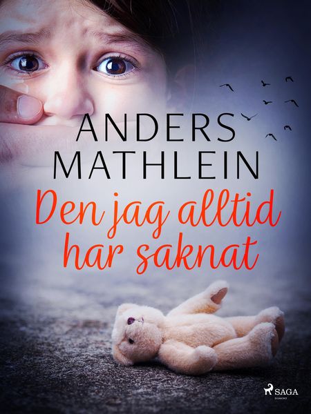 Produktbild: Den jag alltid har saknat