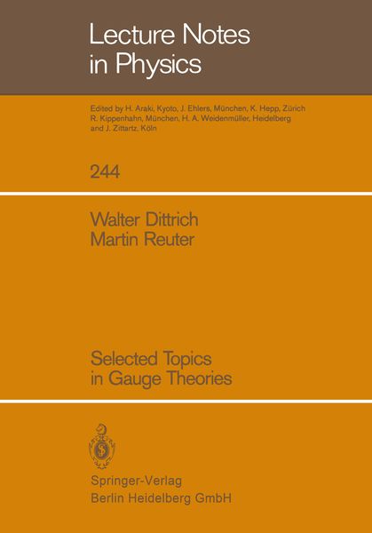 Produktbild: Selected Topics in Gauge Theories