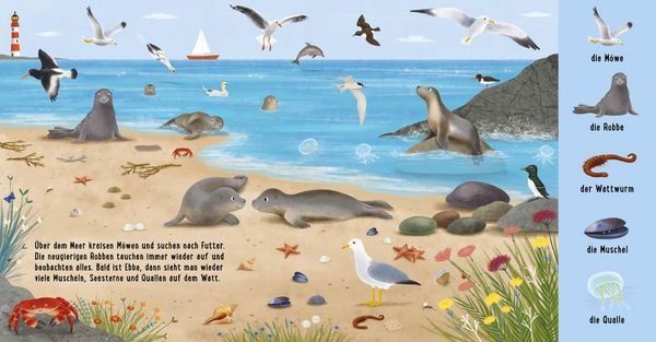 Produktbild: Mein erstes Natur-Wimmelbuch: Tiere am Wasser