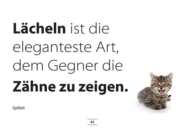 Produktbild: MUTivationsbox - 101 Zitate auf Designerpostkarten f&uuml;r deine Motivation