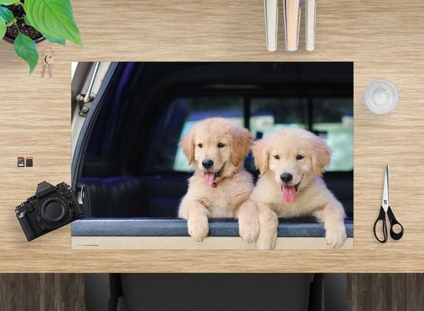 Produktbild: Cover-your-desk Schreibtischunterlage f&uuml;r Kinder und Erwachsene Golden Retriever Welpen, aus hochwertigem Vinyl , 60 x 40 cm