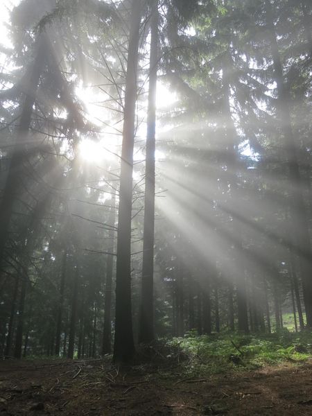 Produktbild: Und sag nicht, dass die Sonne scheint