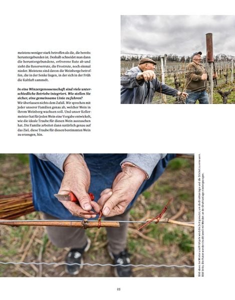 Produktbild: Die Weinmacher