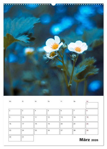 Produktbild: Farbiger Bl&uuml;tentraum (Wandkalender 2026 DIN A2 hoch), CALVENDO Monatskalender