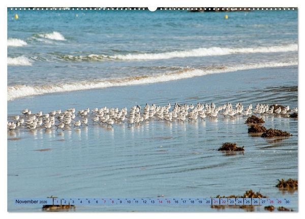 Produktbild: Bretagne und Normandie - Vor der Flut beobachten und entdecken (Wandkalender 2026 DIN A2 quer), CALVENDO Monatskalender