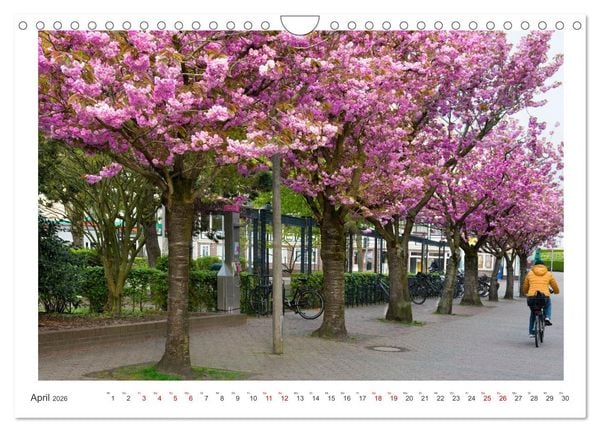 Produktbild: Buntes und bl&uuml;hendes Borkum (Wandkalender 2026 DIN A4 quer), CALVENDO Monatskalender