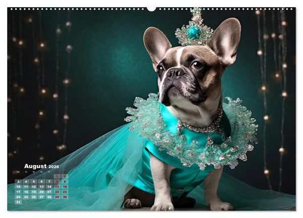 Produktbild: Kleine Hunde - Gro&szlig;e Diven (Wandkalender 2026 DIN A2 quer), CALVENDO Monatskalender