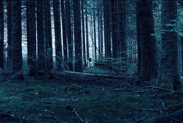 Produktbild: Ogre - Der Fluch