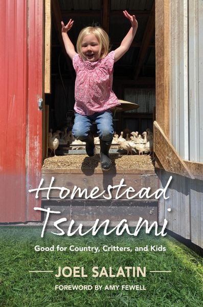 Produktbild: Homestead Tsunami