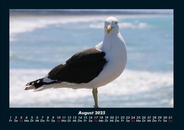 Produktbild: Vogelparadies 2025 Fotokalender DIN A4
