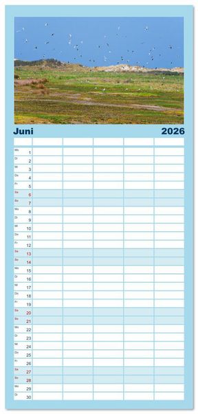 Produktbild: Familienplaner 2026 - Buntes und bl&uuml;hendes Borkum mit 5 Spalten (Wandkalender, 21 x 45 cm) CALVENDO