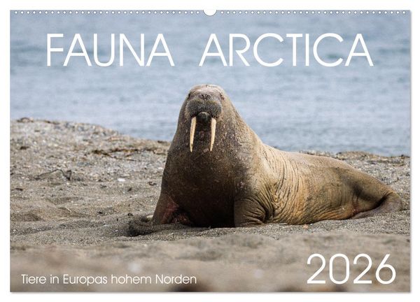 Produktbild: Fauna arctica (Wandkalender 2026 DIN A2 quer), CALVENDO Monatskalender