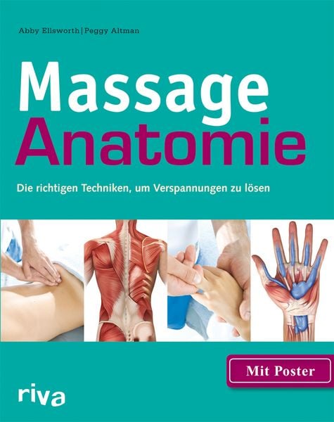 Produktbild: Massage-Anatomie