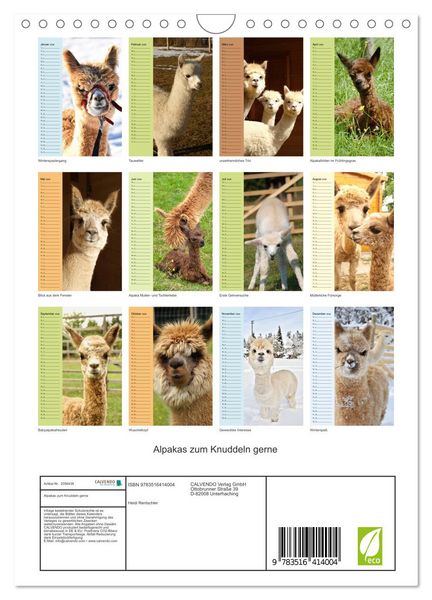 Produktbild: Alpakas zum Knuddeln gerne (Wandkalender 2026 DIN A4 hoch), CALVENDO Monatskalender