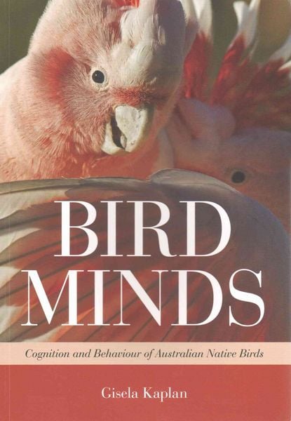 Produktbild: Bird Minds