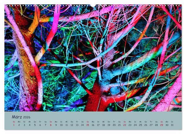 Produktbild: Leuchtfarben (Wandkalender 2026 DIN A2 quer), CALVENDO Monatskalender