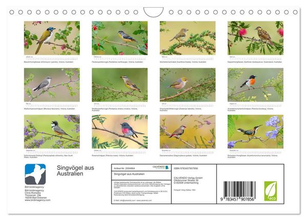 Produktbild: Singv&ouml;gel aus Australien (Wandkalender 2026 DIN A4 quer), CALVENDO Monatskalender