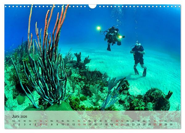 Produktbild: Erlebnis Tauchen - faszinierende Unterwasserwelt (Wandkalender 2026 DIN A3 quer), CALVENDO Monatskalender