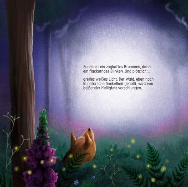 Produktbild: Finn Fledermaus und das Blenden in der Nacht
