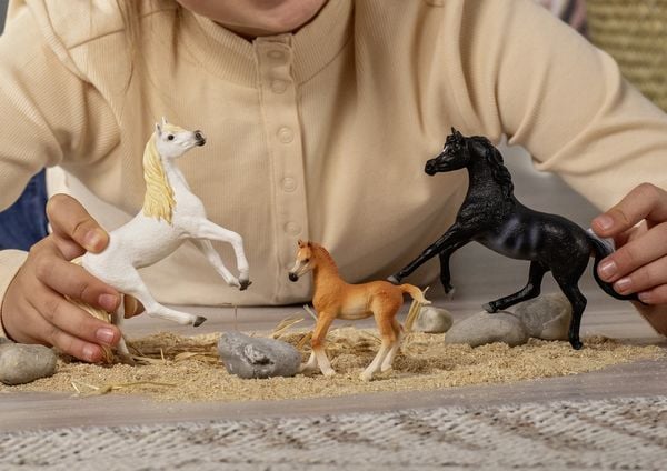 Produktbild: schleich&reg; 13984 Araber Fohlen