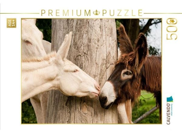 CALVENDO Puzzle Poitou Esel und weißer Esel | 500 Teile Lege-Größe 48 × 36 cm Foto-Puzzle für Erwachsene