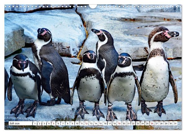 Produktbild: Tierische Fracktr&auml;ger (Wandkalender 2026 DIN A3 quer), CALVENDO Monatskalender