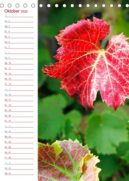 Produktbild: Wein und Sekt (Tischkalender 2022 DIN A5 hoch)