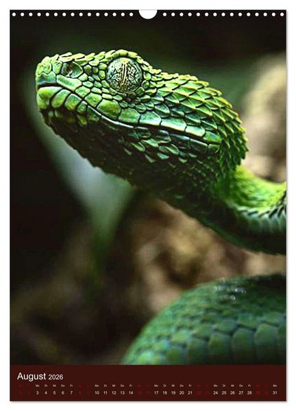 Produktbild: The Power Of Snake (Wandkalender 2026 DIN A3 hoch), CALVENDO Monatskalender