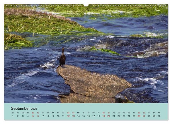 Produktbild: Venezuela - Natur pur Orinoco Delta und die Anden (Wandkalender 2026 DIN A2 quer), CALVENDO Monatskalender