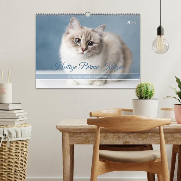 Produktbild: Heilige Birma Katzen - Eine Rasse mit traumhaft blauen Augen. (Wandkalender 2026 DIN A3 quer), CALVENDO Monatskalender