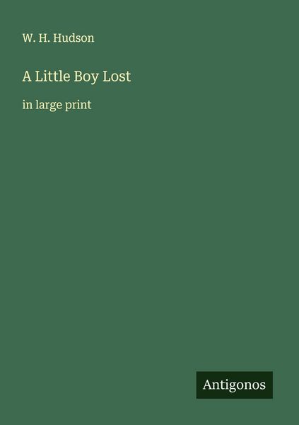 Produktbild: A Little Boy Lost