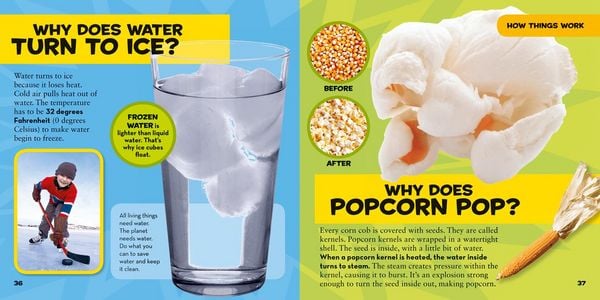 Produktbild: National Geographic Little Kids First Big Book of Why