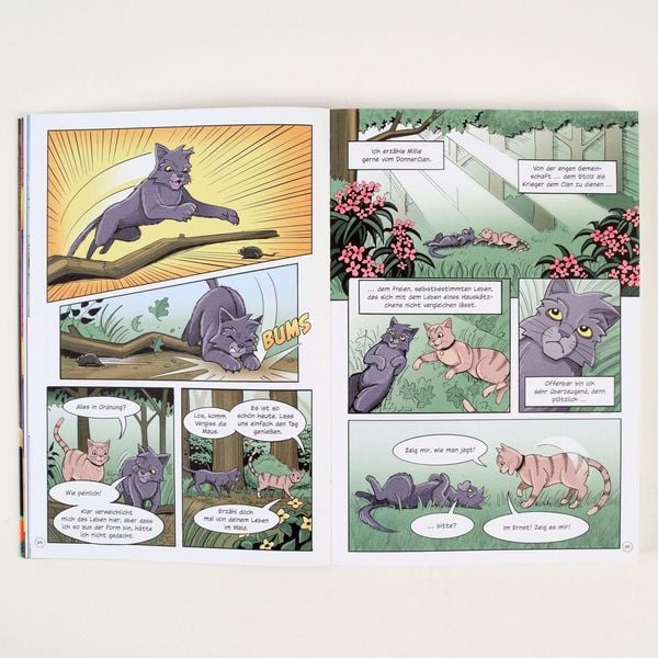 Produktbild: Warrior Cats - Graustreifs Weg zur&uuml;ck