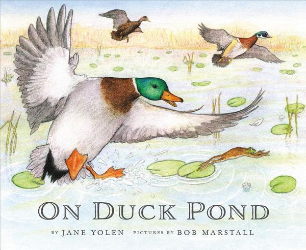Produktbild: On Duck Pond