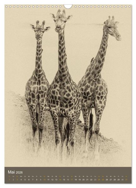 Produktbild: Afrikas Tierwelt - Sepia-Art (Wandkalender 2026 DIN A3 hoch), CALVENDO Monatskalender