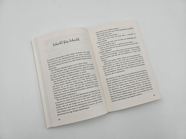 Produktbild: Lieber mit dem Kopf durch die Wand als gar kein Durchblick