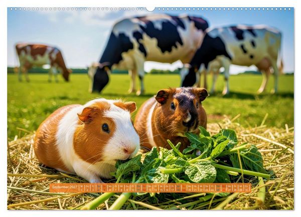 Produktbild: Kleine s&uuml;&szlig;e Meerschweinchen (Wandkalender 2027 DIN A2 quer), CALVENDO Monatskalender