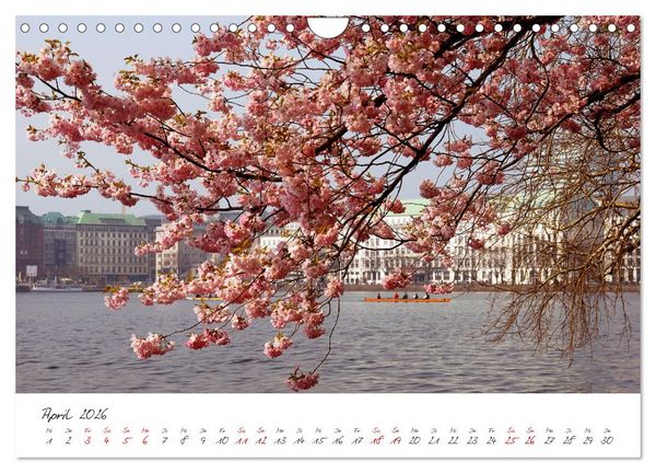Produktbild: Alsteransichten in Hamburg (Wandkalender 2026 DIN A4 quer), CALVENDO Monatskalender