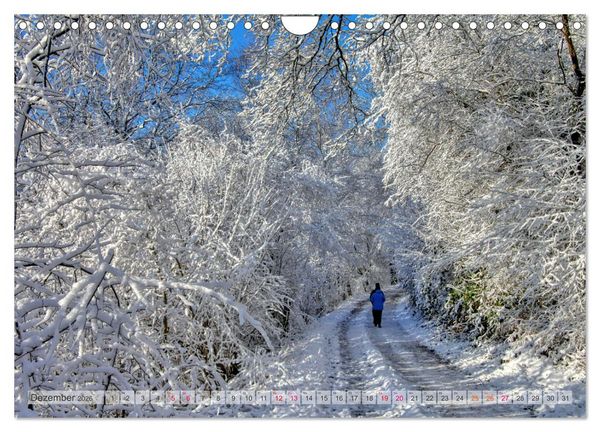 Produktbild: Idyllische Wanderwege im Bergischen Land (Wandkalender 2026 DIN A4 quer), CALVENDO Monatskalender