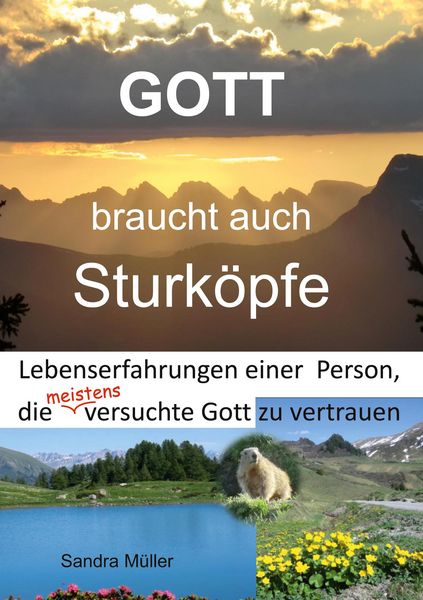 Produktbild: Gott braucht auch Sturk&ouml;pfe