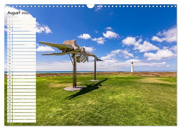 Produktbild: FUERTEVENTURA Geburtstagskalender mit Planerfunktion (Wandkalender 2026 DIN A3 quer), CALVENDO Monatskalender