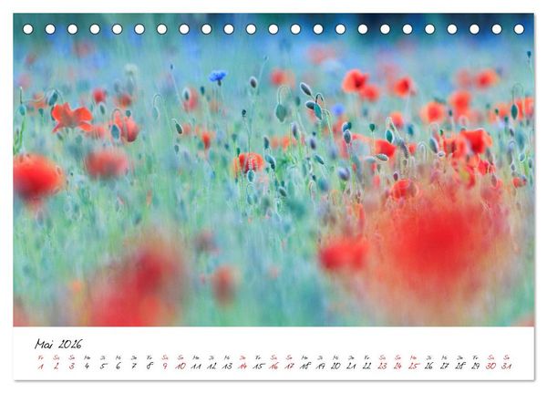 Produktbild: Mohnwiesen (Tischkalender 2026 DIN A5 quer), CALVENDO Monatskalender