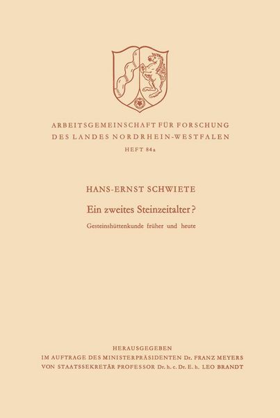 Produktbild: Ein zweites Steinzeitalter?
