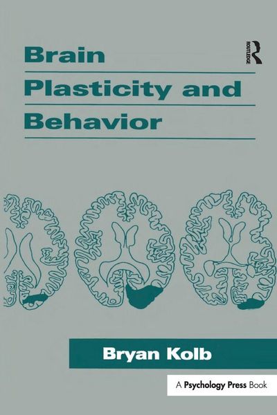 Produktbild: Brain Plasticity and Behavior