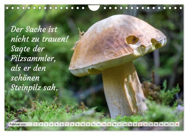 Produktbild: Junge, was hast du`s eilig (Wandkalender 2026 DIN A4 quer), CALVENDO Monatskalender