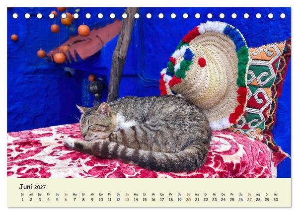 Produktbild: MarokkoCats (Tischkalender 2027 DIN A5 quer), CALVENDO Monatskalender