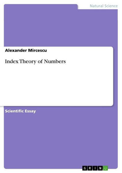 Produktbild: Index Theory of Numbers